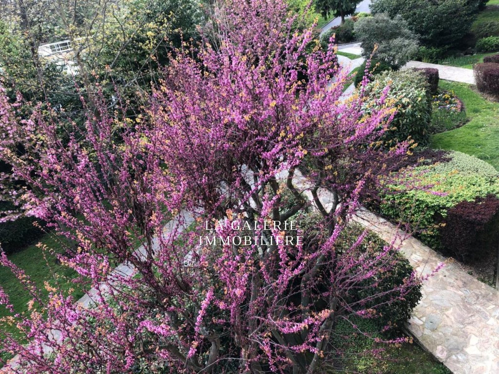 La Galerie Immobilière - Biens immobiliers